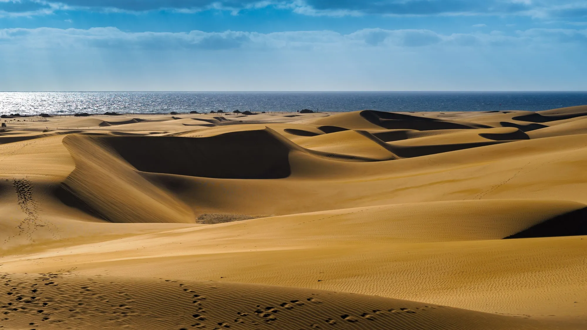 Golden sand dunes with deep shadows, running down to the sea under a blue sky